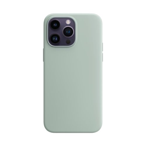 Silicone Case For iPhone 15 Pro Max Succulent.jpg